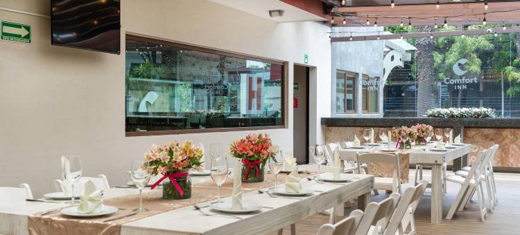 普埃布拉历史中心舒适酒店(Comfort Inn Puebla Centro Histórico)图片