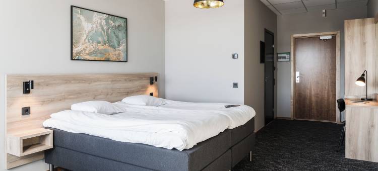 谢莱夫特奥城市优质(Comfort Hotel Skellefteå)图片