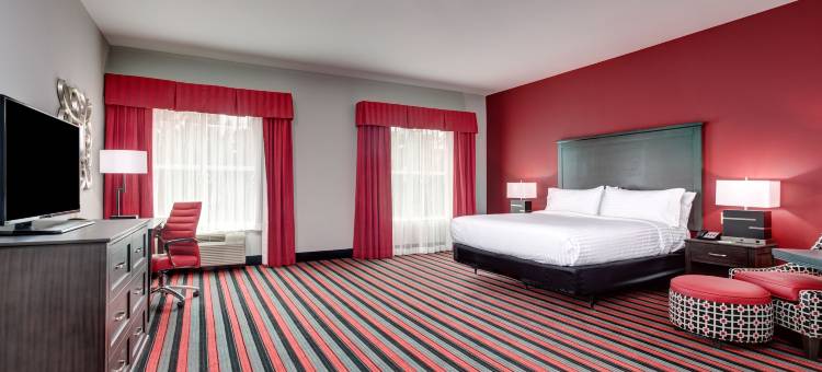 假日套房酒店-拉斐特北(Holiday Inn & Suites Lafayette North)图片