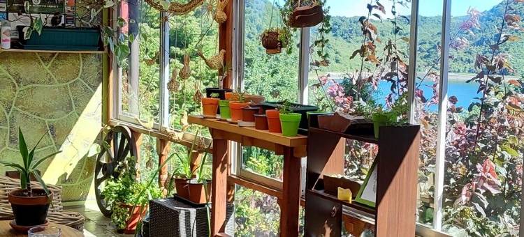 Hotel Casa Del Fauno图片