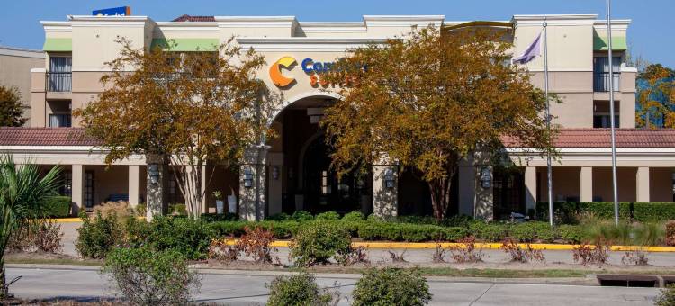 康福特套房巴吞鲁日南部I-10(Comfort Suites Baton Rouge South I-10)图片