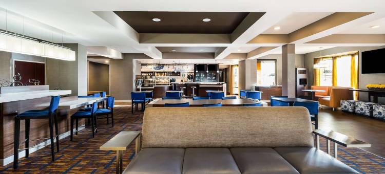 底特律-诺维索尼斯塔精选酒店(Sonesta Select Detroit Novi)图片