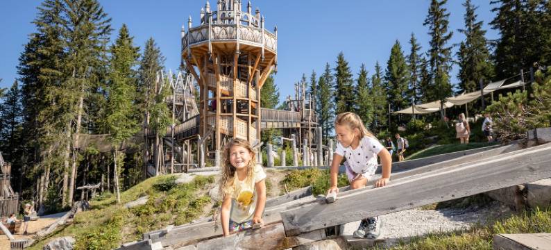 阿尔卑斯酒店提洛尔霍夫(Alpenhotel Tirolerhof Gerlos)图片