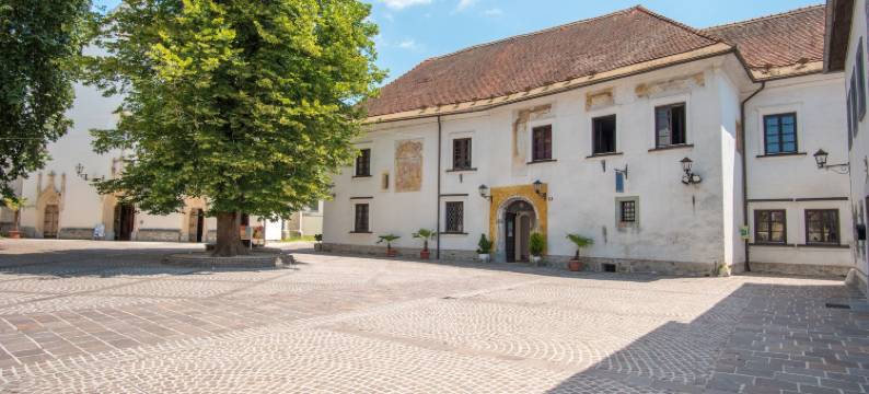 Vila Radolca公寓和房间(Vila Radolca Apartments & Rooms)图片