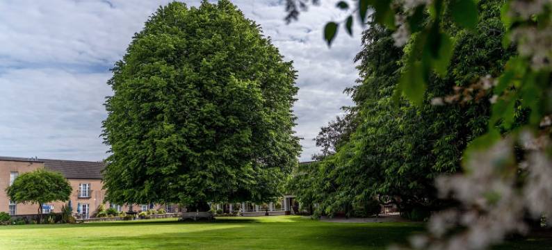 登纳德里花园酒店(Dunadry Hotel and Gardens)图片