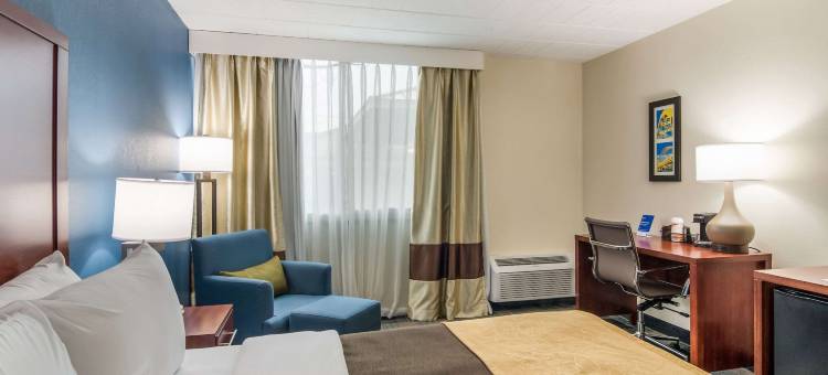 舒适酒店及套房(Comfort Inn & Suites)图片