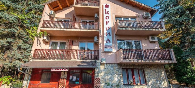 科罗纳裴森酒店(Korona Panzió Budapest)图片