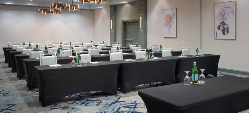 休斯顿西追希尔顿逸林酒店(DoubleTree by Hilton Houston Westchase)图片