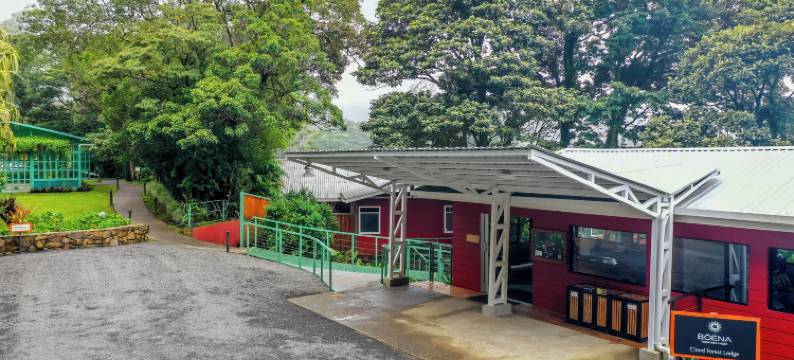 云雾森林旅馆(Cloud Forest Lodge)图片