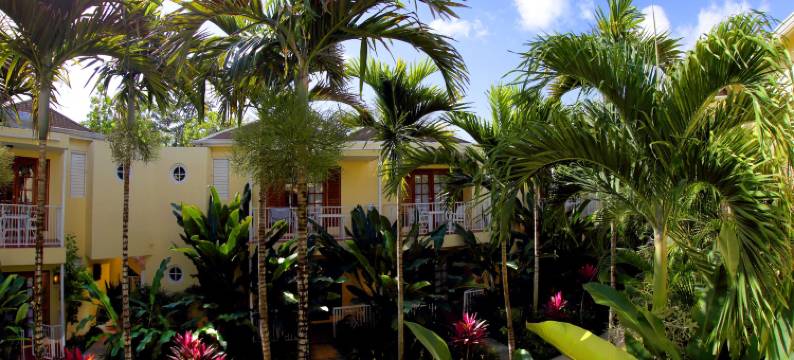 棕榈度假村(Negril Palms)图片