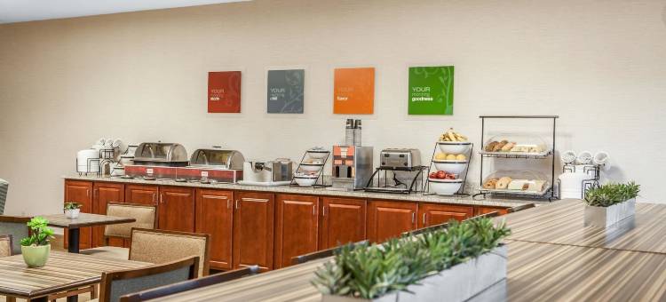 舒适酒店-莱星顿南(Comfort Inn Lexington South)图片