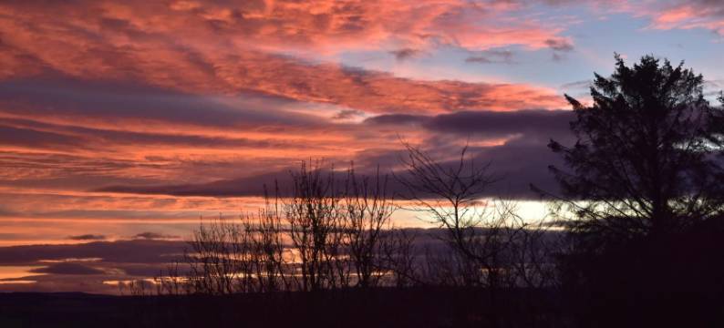 教堂山克罗夫特农场民宿(Chapelhill Croft)图片