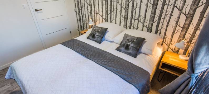 爱老锻造公寓酒店(Apartamenty Hotelove z Biokominkiem Stara Kuźnia)图片