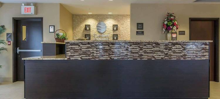 舒适套房酒店-埃德蒙顿国际机场(Comfort Inn & Suites Edmonton International Airport)图片