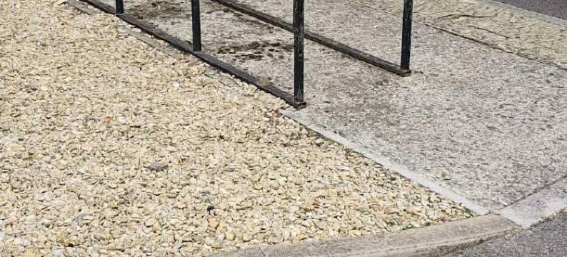 格洛斯特GO2 OYO酒店(GO2 Gloucester Hotel by OYO)图片