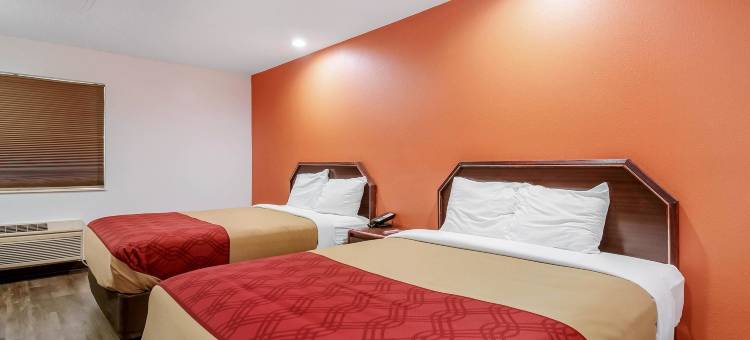 伊可洛吉酒店(Econo Lodge)图片