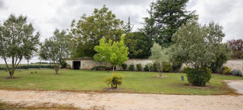 最佳Saintonge(Best Saintonge)图片