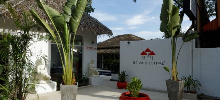 白色小屋(The White Cottage)图片
