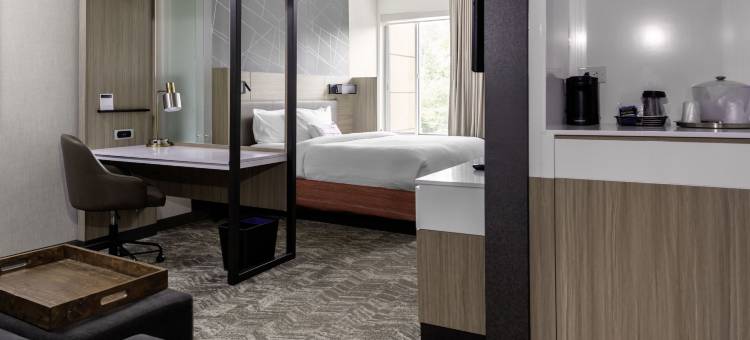 亚特兰大阿尔普哈雷塔/罗斯威尔万豪SpringHill Suites酒店(SpringHill Suites Atlanta Alpharetta/Roswell)图片