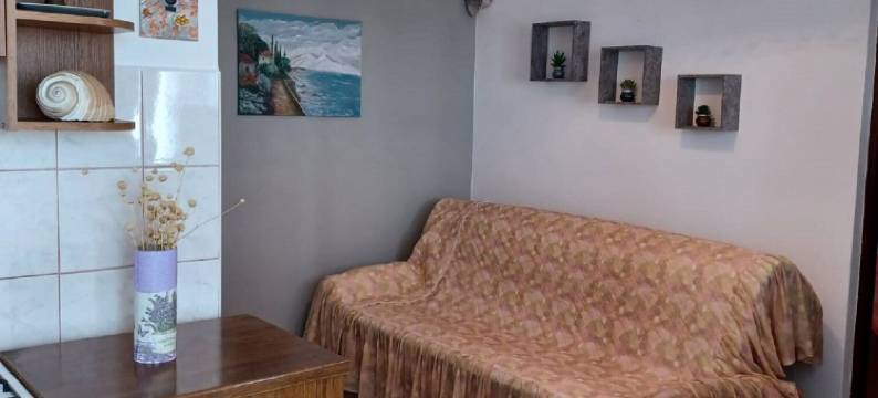 托皮奇公寓(Apartments Topić)图片