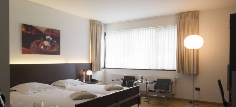 沃尔卢酒店(Hotel Verlooy)图片