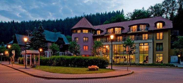 哈比斯坦恩哈尔茨酒店(Hotel Habichtstein)图片