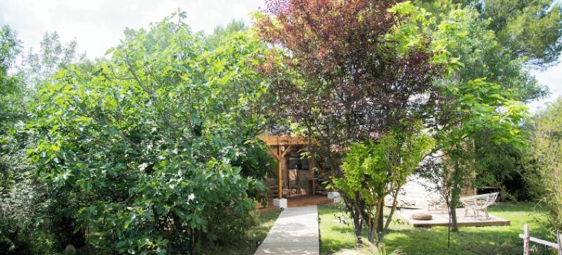 波希米亚之夜(Nuitées Bohèmes)图片