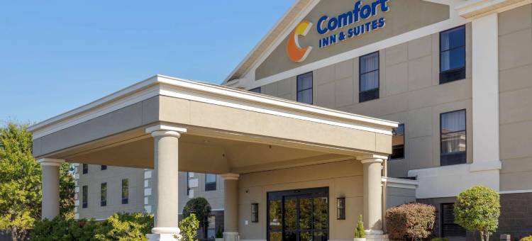 温泉城中城舒适套房酒店(Comfort Inn & Suites Hot Springs Midtown)图片