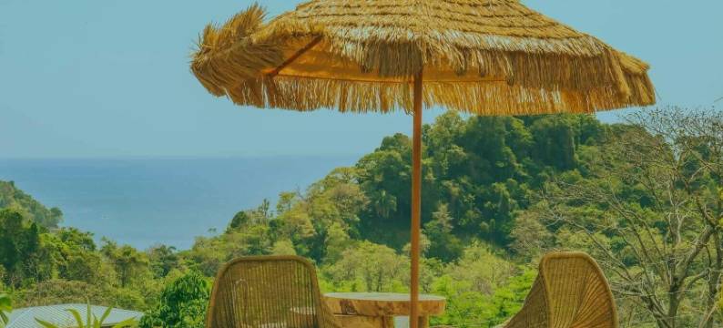 Lamia的家(Casa Lamia)图片