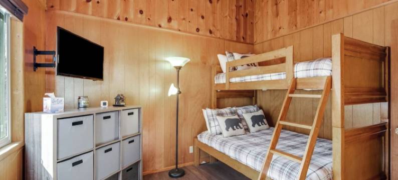 步行到高山滑梯 - 几乎有景观(Walk to Alpine Slide - Almost a View)图片