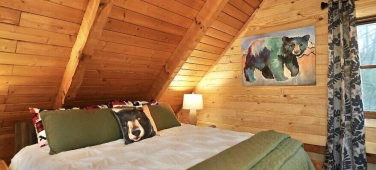 乡村倒带(Rustic Rewind)图片