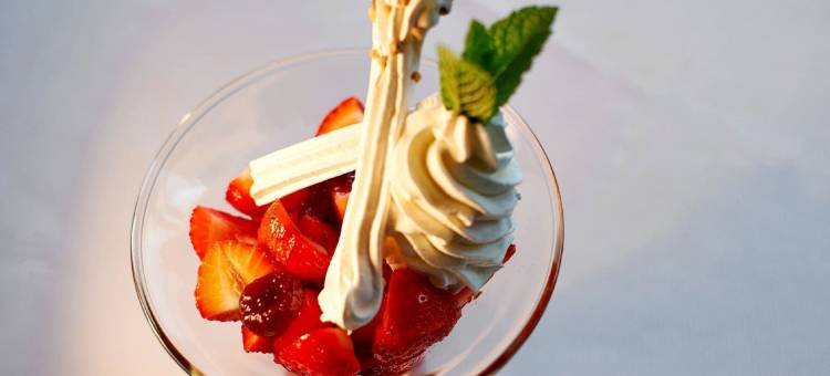 狩猎庄园Spa&餐厅酒店(Hotel Spa et Restaurant Au Chasseur)图片