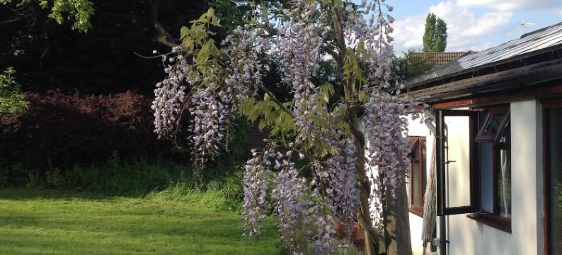 紫杉农场酒店(Yew Tree Farm)图片