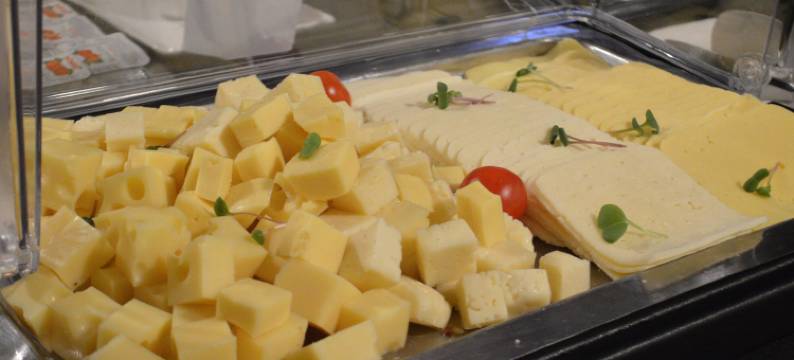 马里博尔城市酒店(Hotel City Maribor)图片