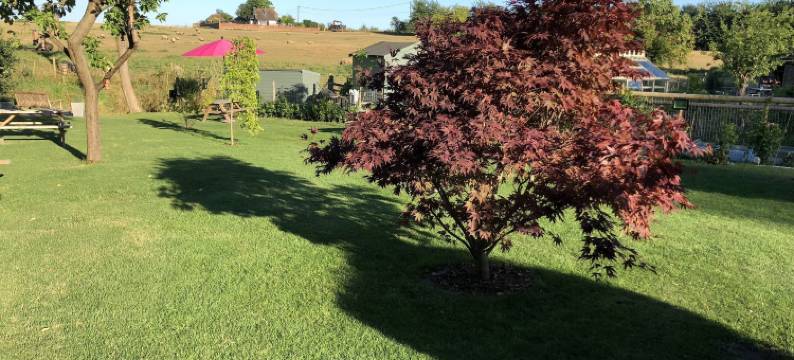 汤奇谷仓酒店(Tonge Barn)图片