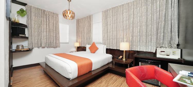 切尔西酒店(Hotel Chelsea)图片