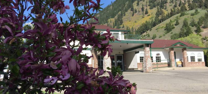 大通乡村旅馆(Chase Country Inn)图片