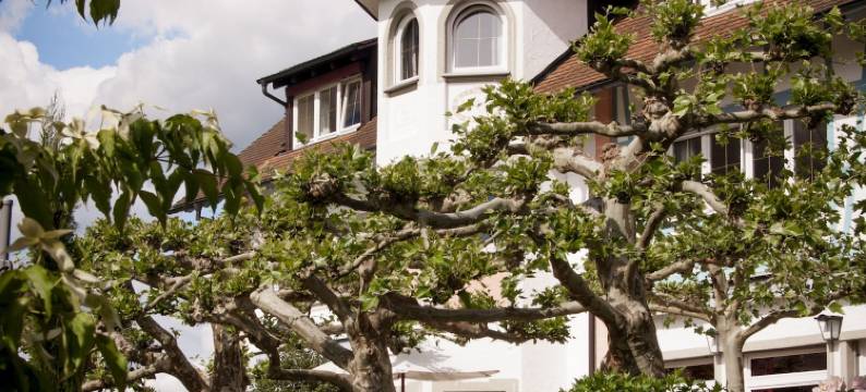 瑞克酒店(Reck's Hotel-Restaurant)图片