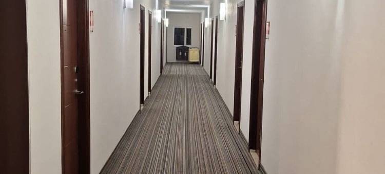 城市酒店(City Hotel)图片