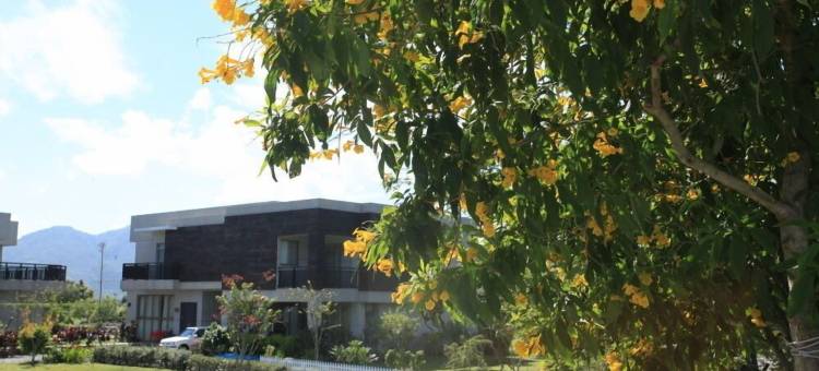 花莲枫情休闲渡假庄园图片