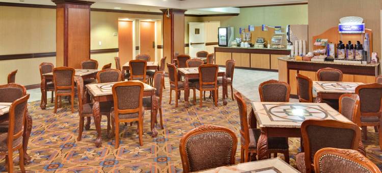 Holiday Inn Express 火石校园面积(Holiday Inn Express Flint-Campus Area)图片