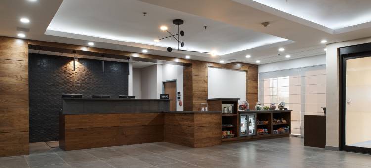 华雷斯城欢朋酒店(Hampton Inn by Hilton Ciudad Juarez)图片