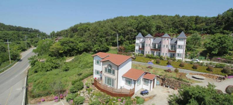 贝尔扎里旅馆(Beljari Pension)图片