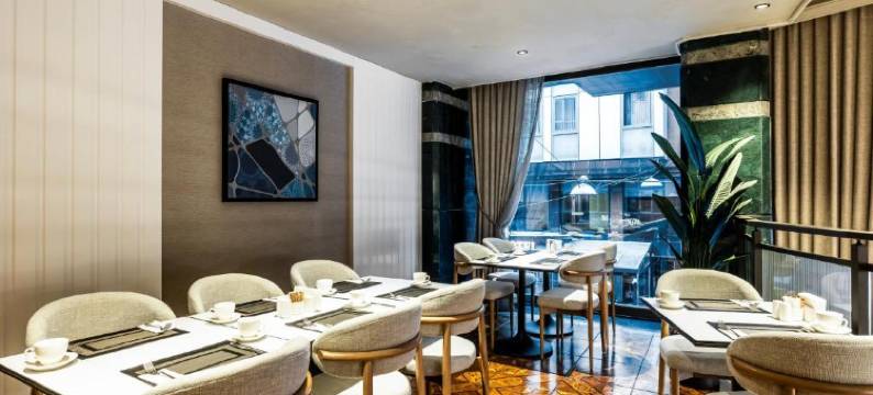 伊斯坦布尔塔克西姆精英世界舒适酒店(Elite World Comfy Istanbul Taksim)图片