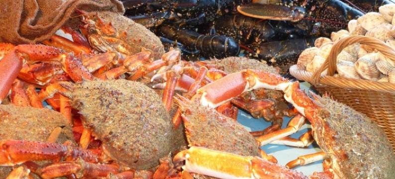 Country House near Mont St. Michel图片