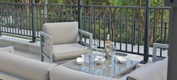 Villa in Var with Pool near Massif Maures图片