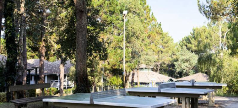 Apartment in Moliets near Pine Forest & Beach图片