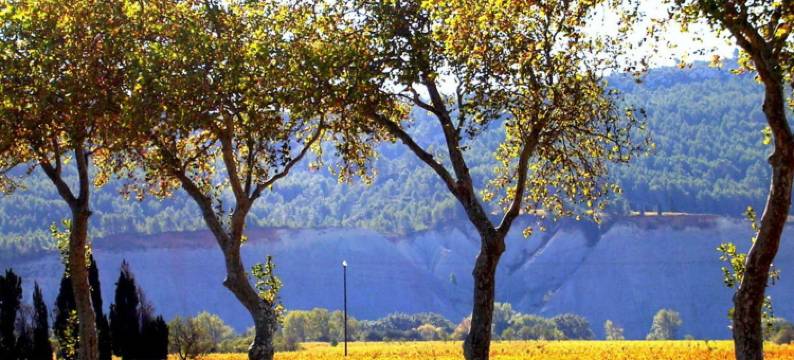 Maison de Maitre Comfortable holiday residence图片