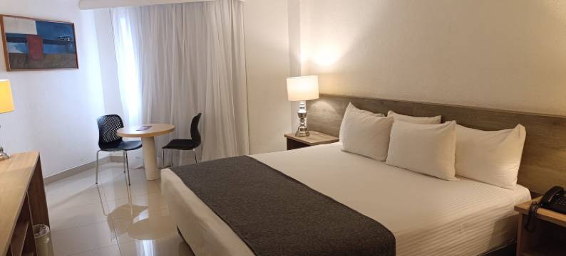 拉法叶行政酒店(Hotel Laffayette Ejecutivo)图片