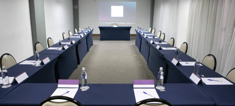 萨奥凯塔诺多索美居酒店(Mercure Sao Caetano do Sul)图片